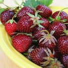 Mixed 4 Types of Blue Purple White Red Strawberry 100 PCS Seeds