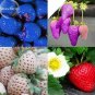 Mixed 4 Types of Blue Purple White Red Strawberry 100 PCS Seeds