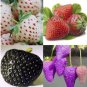 Mixed 9 Types of Rare Delicious Strawberry 100 PCS Seeds