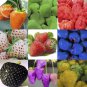 Mixed 9 Types of Rare Delicious Strawberry 100 PCS Seeds