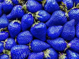 Mixed 9 Types of Strawberry Fruit 100 PCS Seeds