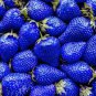 Mixed 9 Types of Strawberry Fruit 100 PCS Seeds