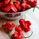 Mixed Bishop's Crown Chili Pepper 20 PCS Seeds