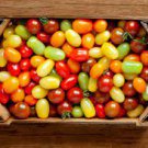 Mixed Heirloom 9 Types Edible Cherry Tomato 100 PCS Seeds Mixed Heirloom 9 Types Edible Cherry Tomato 100 PCS Seeds