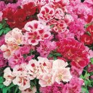 Mixed Japanese azalea 100 PCS Seeds