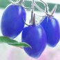 Mixed Pear-shaped and Round Purple Cherry Tomato 100 PCS Seeds