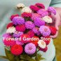Mixed Zinnia Bonsai Pretty Pastel Colors Perennial Bonsai for Home Garden 200 PCS Seeds