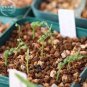 Moraea Pritzeliana 5 PCS Seeds