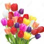 Multifarious Tulip Flowers 200 PCS Seeds