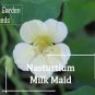 Nasturtium Bonsai Easy Planting Flower Hanging Plants New Garden Plant 10 PCS Seeds