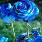 Natural Fragrant Sparkling Golden Blue Rose 500 PCS Seeds