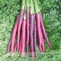 New Imperator-shaped Red Purple Carrot Hybrid 100 PCS Seeds