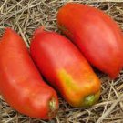 New Rare Green Red Long Tomato 'OX Horn' Organic 400 PCS Seeds New Rare Green Red Long Tomato 'OX Horn' Organic 400 PCS Seeds