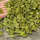 New Varietal China Pumpkin Seeds with Large Plant Conglutinin 8 PCS Seeds