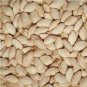 New Varietal China Pumpkin Seeds with Large Plant Conglutinin 8 PCS Seeds