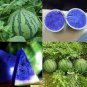 New Variety Plant Blue Watermelon Seeds Vegetable Organic Gardening 10 PCS Seeds