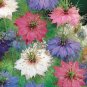 Nigella Damascena Mixed Love-in-a-mist Fennelflower 20 PCS Seeds