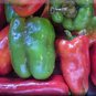 20 Pcs Heirloom Dark Green & Red Mixed 'Ox Horn' Sweet Pepper F1