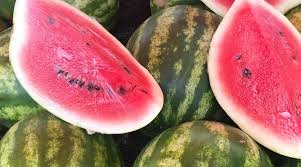 10 Pcs Heirloom Yellow Skin Red Seedless Watermelon Fruit