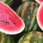 10 Pcs Heirloom Yellow Skin Red Seedless Watermelon Fruit