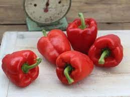 20 Pcs BELLFARM Heirloom Red Long Sharp Sweet Bell Pepper