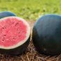Hot Sale Hybrid Black Skin Round Shape Yellow Meat Seedless Watermelon Seeds