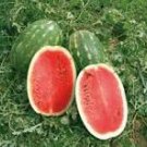 10 Pcs High Yield Super Green Oval Shape Red Watermelon 10 Pcs High Yield Super Green Oval Shape Red Watermelon