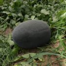10 Pcs Hot Sale High Yield Hybrid Black Skin Oval Shape Watermelon 10 Pcs Hot Sale High Yield Hybrid Black Skin Oval Shape Watermelon