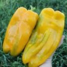 20 Pcs Heirloom Yellow Long Sweet Pepper Hybrid 'Huang La Meizi'