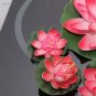 1 Pcs 'Bride' Red Lotus Flower Water Lily Flower Aquatic Plants DIY