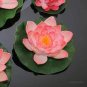 1 Pcs 'Bride' Red Lotus Flower Water Lily Flower Aquatic Plants DIY