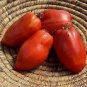 100 Pcs 'Opalka' Organic Polish Heirloom Tomato