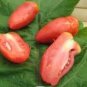 100 Pcs 'Opalka' Organic Polish Heirloom Tomato
