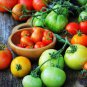 200 Pcs Tomato Family Seeds Over 20 Varities of Fruit for Your Choose