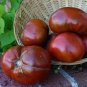 100 Pcs Black Elephant Tomato