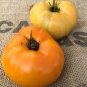 100 Pcs 'Aunt Gertie's Gold' Organic Yellow Beefsteak Heirloom Tomato Bonsai