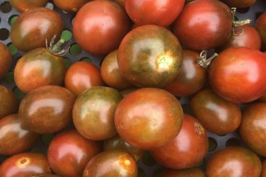 Tomato Cherry Black Vegetable