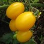 Cherry Tomato 'Yellow Grape' Fruit Seeds