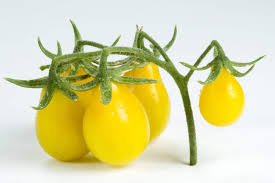 100 Pcs 'Yellow Pear' Organic Heirloom Tomato