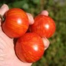 100 Pcs Large Tomato Glowing Gold Neon Red Stripes Fruits