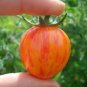 100 Pcs Large Tomato Glowing Gold Neon Red Stripes Fruits
