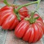 100 Pcs 'Zapotec Ruffled' Old Rare Mexican Organic Heirloom Tomato