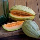 20 Pcs Rare Canadian Heirloom Oka Melon Bizard Island Strain Cucumis Melo
