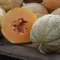 20 Pcs Rare Canadian Heirloom Oka Melon Bizard Island Strain Cucumis Melo