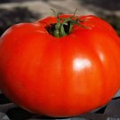 20 Pcs Heirloom Beefsteak Tomato tasty juicy sweet bright red beef tomato vegetables organic 20 Pcs Heirloom Beefsteak Tomato tasty juicy sweet bright red beef tomato vegetables organic
