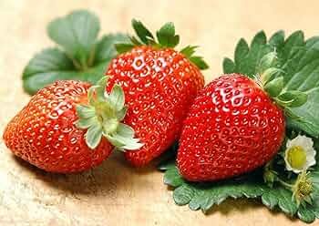 100 Pcs Super Giant Red Strawberry Fruit Seeds Apple Maximus Sized