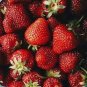 100 Pcs Super Giant Red Strawberry Fruit Seeds Apple Maximus Sized
