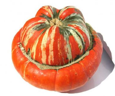 10 Pcs Heirloom Cucurbita maxima 'Incense burner' Squash Ornamental Fruit