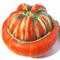 10 Pcs Heirloom Cucurbita maxima 'Incense burner' Squash Ornamental Fruit