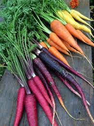 Heirloom Rainbow Yellow White Purple Orange Red Carrot Vegetable Mixed Seeds